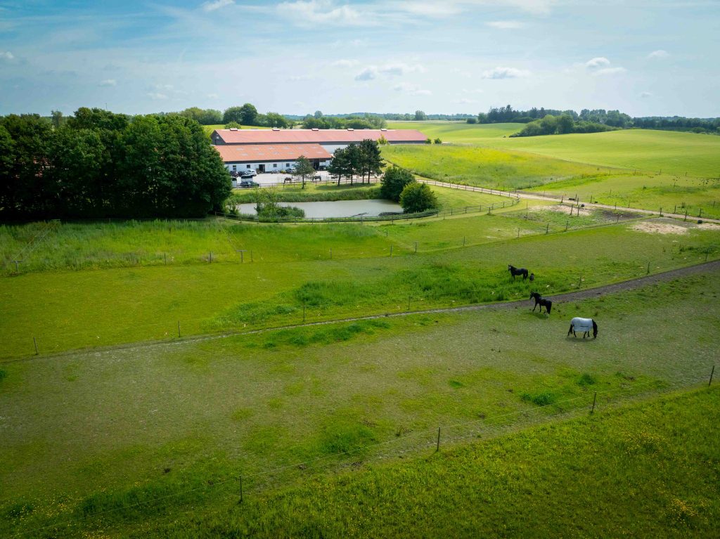 Højgaard Hestehospital - Hestedoktoren